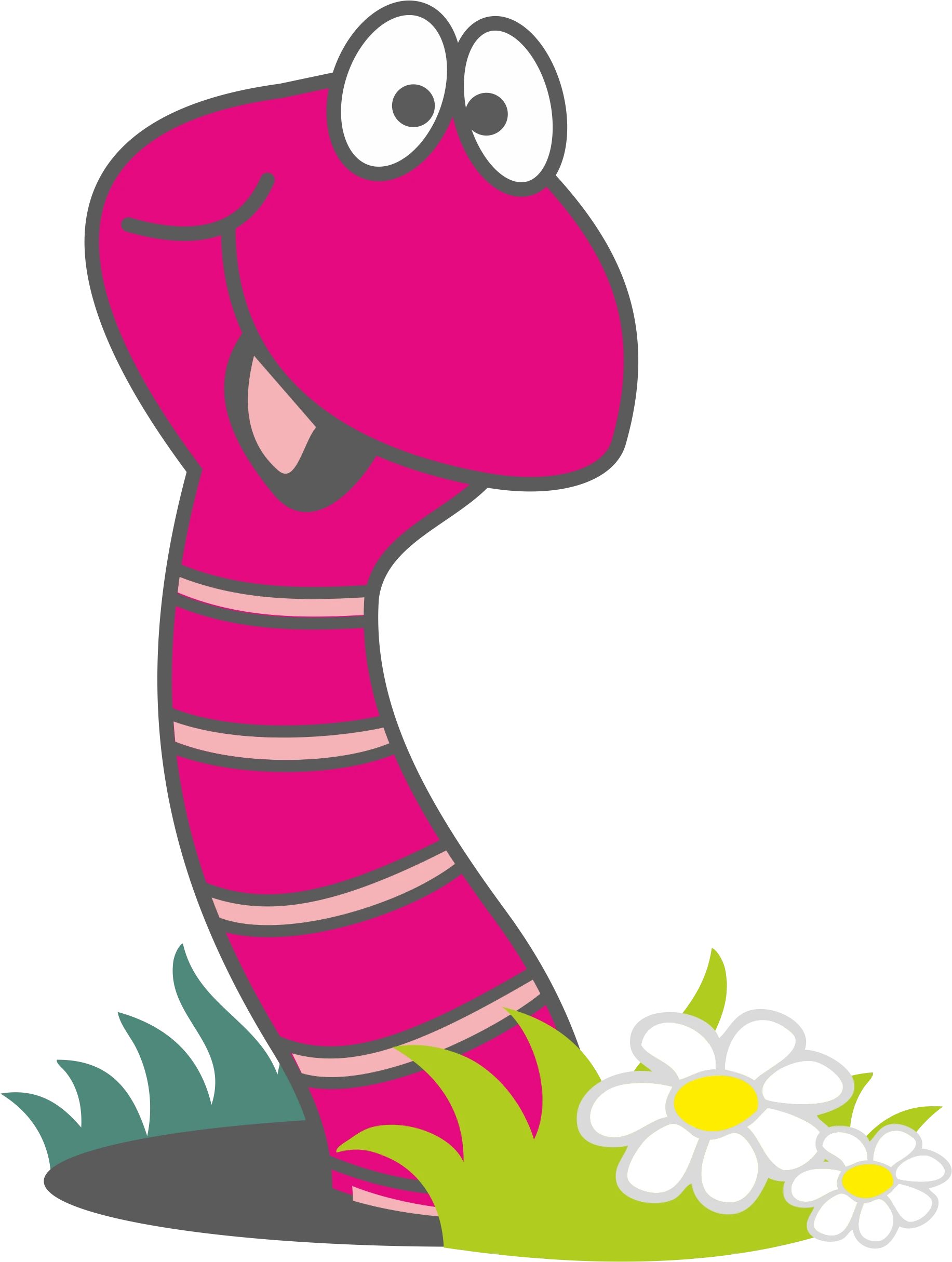 Vorderer Teil des pinkfarbenen Bohrspül-Wurms in einer Grünfläche