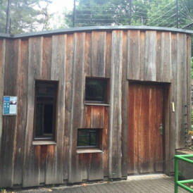 Tierpark Chemnitz (Nasenbärengehege)